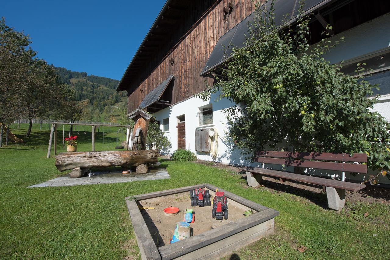 Farm stay Hinterburghof Saalfelden