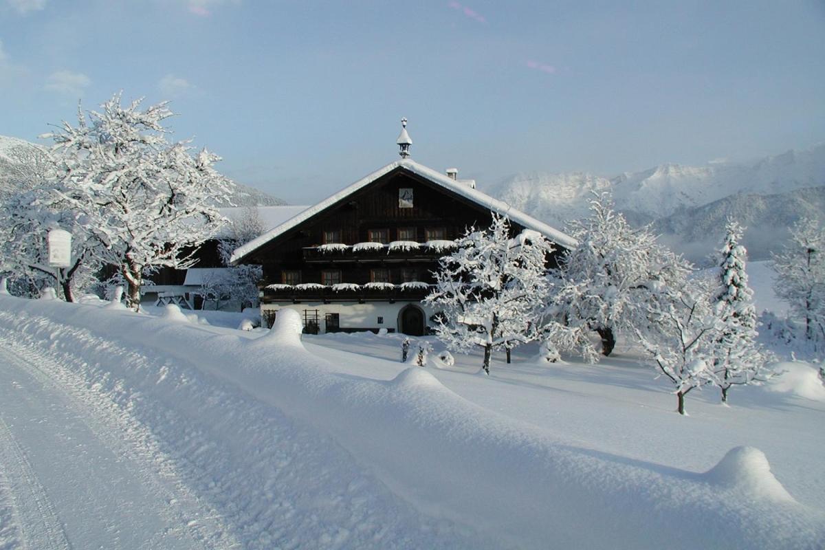 Hinterburghof Farm stay
